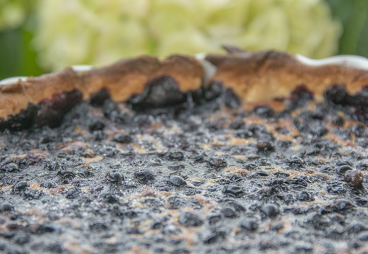 Terroir ©Maxime Perrotey (3)