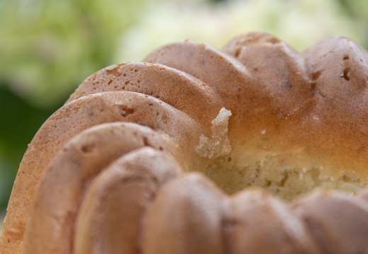 Terroir ©Maxime Perrotey (9)