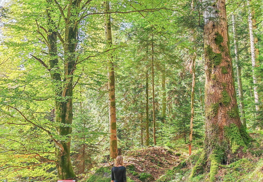 Lesseux Sentier de Mémoire ©Maxime PERROTEY (3)