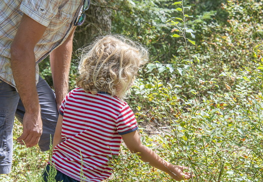 Nature En famille Randonnée ©Maxime Perrotey (3)