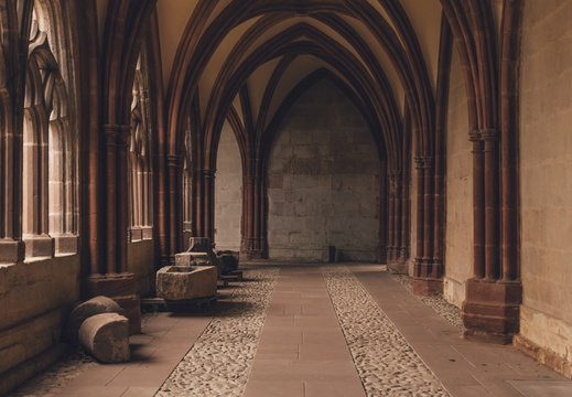 SDDV Cathédrale Cloître©Worldelse
