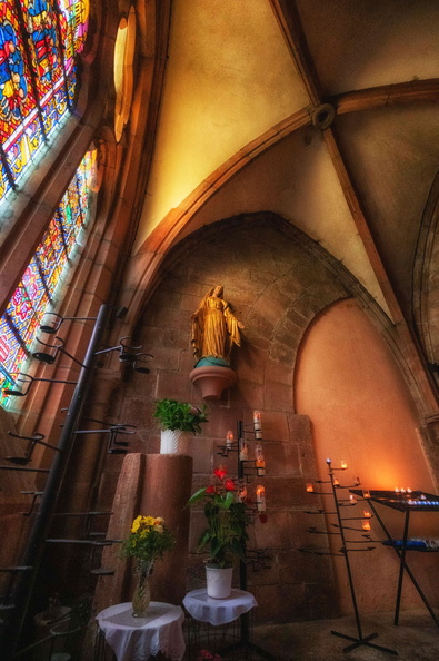 SDDV_Cathédrale_Vitraux_©Service Communication.jpg (1).jpg