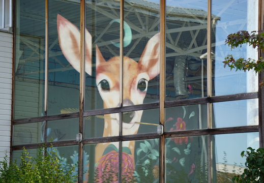 SDDV Street Art ©Heidi Heimburger (4)
