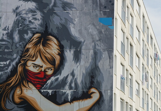 SDDV Street Art ©Heidi Heimburger (5)