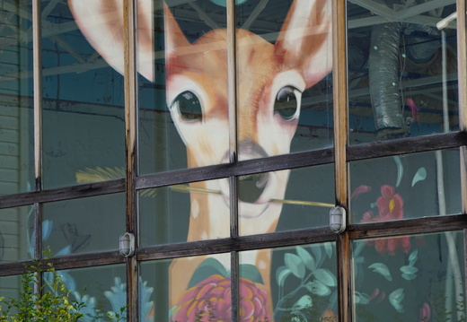 SDDV Street Art ©Heidi Heimburger (6)