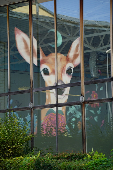 SDDV_Street Art_©Heidi Heimburger (6).JPG