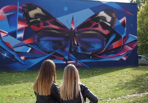SDDV Street Art ©Heidi Heimburger (7)