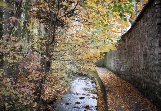 SDDV Cours d'eau ©Maxime PEROTTEY (2)