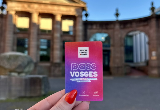 SDDV Pass Vosges Musée Pierre Noël ©Laurie Colin