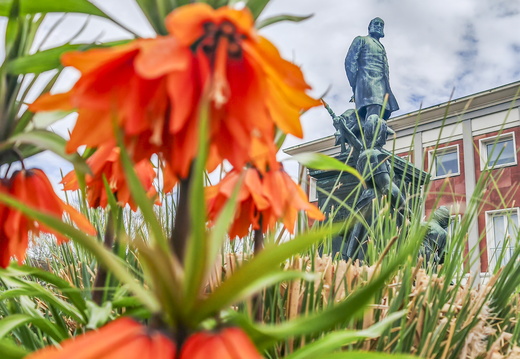 Flore Fleurs ©Alice Perrotey (7)