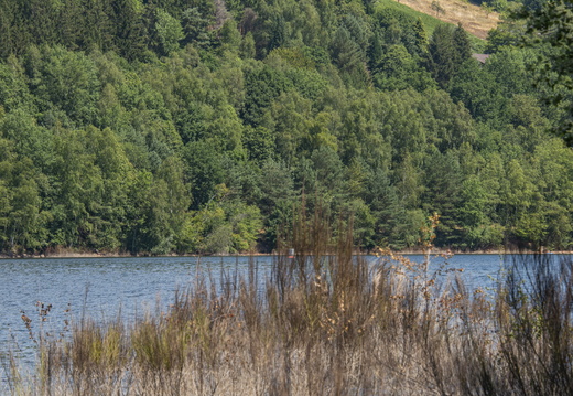 Pierre-Percée Lac ©Maxime PEROTTEY (4)