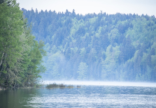 Pierre-Percée Lac ©Maxime PEROTTEY (6)