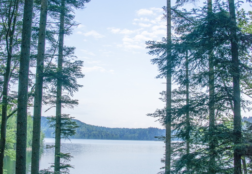 Pierre-Percée Lac ©Maxime PEROTTEY (7)