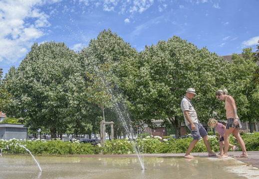 SDDV En Famille Eau Parc©Maxime PEROTTEY (6)