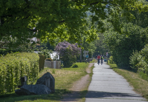Haute-Meurthe Voie Verte Vélo En Famille ©Maxime PEROTTEY (3)