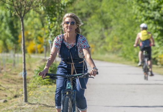 Haute-Meurthe Voie Verte Vélo En Famille ©Maxime PEROTTEY (5)