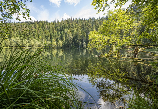Vexaincourt Lac de la Maix ©Maxime Perrotey (4)