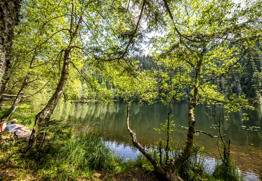 Vexaincourt Lac de la Maix ©Maxime Perrotey (5)