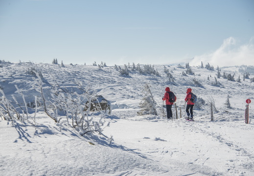 Plainfaing Gazon du Faing Crêtes Neige ©Maxime PEROTTEY (35)