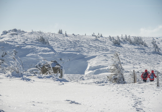 Plainfaing Gazon du Faing Crêtes Neige ©Maxime PEROTTEY (36)