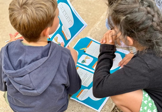 SDDV La Merlusse Visite ©Laurie Colin (10)