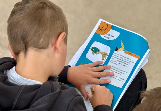 SDDV La Merlusse Visite ©Laurie Colin (15)