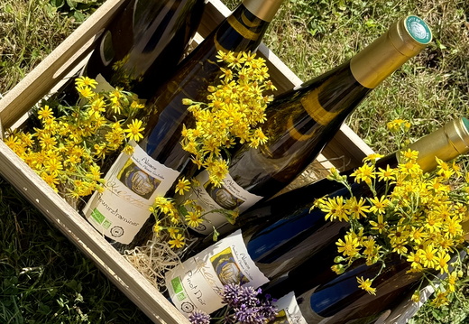 Plainfaing Boutique Vins ©Laurie Colin (4)