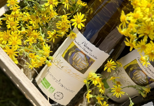 Plainfaing Boutique Vins ©Laurie Colin (5)