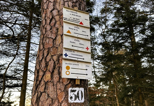 Étival Clairefontaine Pierre d&#039;Appel Randonnée Nature ©Laurie Colin (1)