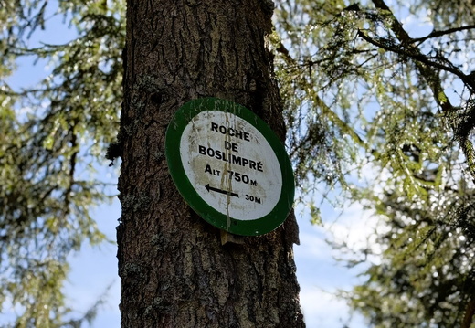 Ban-sur-Meurthe Clefcy Roche de Boslimpré ©Laurie Colin (1)