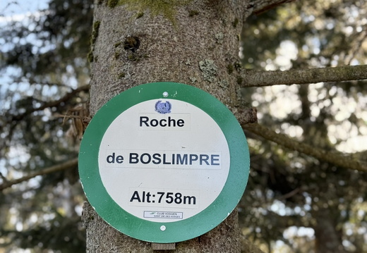 Ban-sur-Meurthe Clefcy Roche de Boslimpré ©Laurie Colin (2)