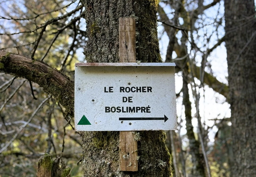 Ban-sur-Meurthe Clefcy Roche de Boslimpré ©Laurie Colin (3)