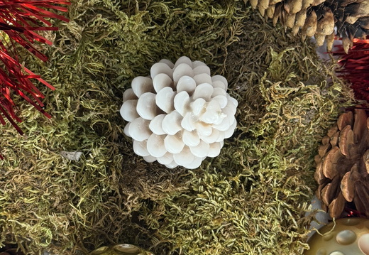 LDéco Bougies Boutique ©Laurie Colin (2)