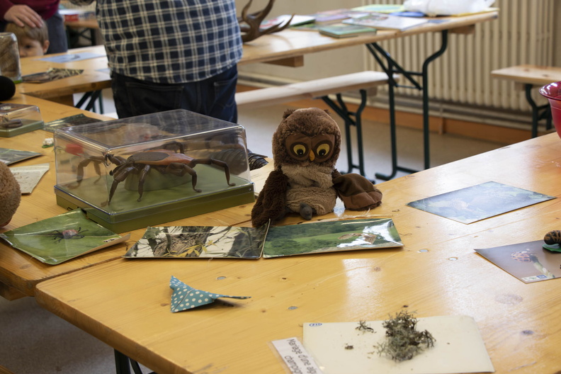 Fig_ junior__Manon_Gauthier_239.jpg