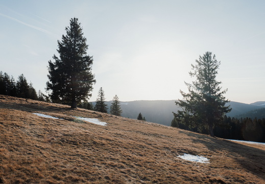 La Chaume du Serichamp - 10