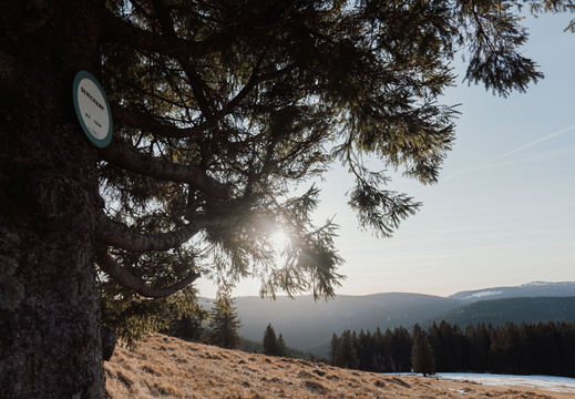 La Chaume du Serichamp - 8