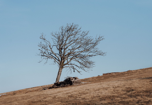 La Chaume du Serichamp - 5