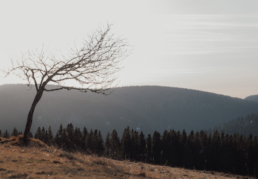 La Chaume du Serichamp - 2