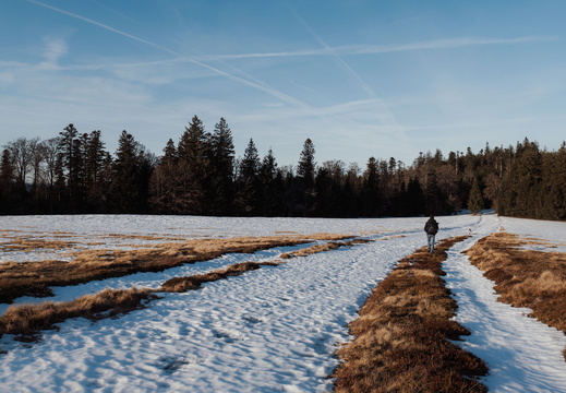 La Chaume du Serichamp - 1
