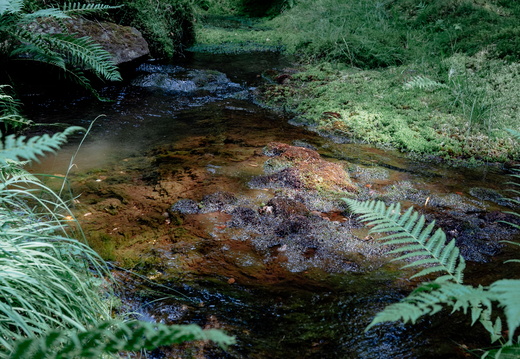 Sentier Art Nature - Le Saulcy