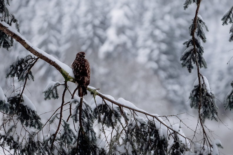 HD_Cascade-Rudlin-©Valentine ZELLER_1_.jpg
