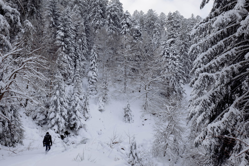 HD_Cascade-Rudlin-©Valentine ZELLER_11.jpg
