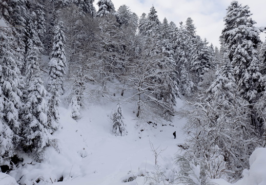 HD Cascade-Rudlin-©Valentine ZELLER 13