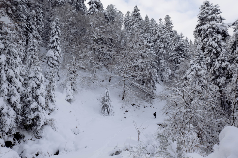 HD_Cascade-Rudlin-©Valentine ZELLER_13.jpg