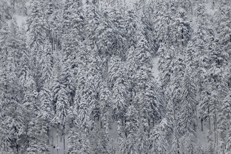 HD_Cascade-Rudlin-©Valentine ZELLER_15.jpg