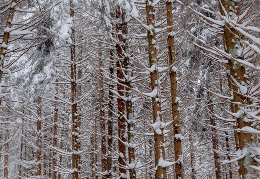HD Cascade-Rudlin-©Valentine ZELLER 3