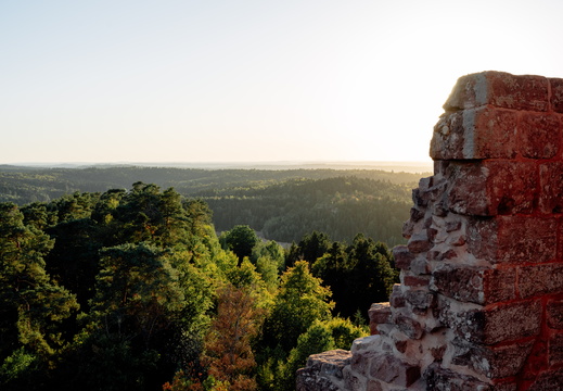 Chateau Pierre-Percé-4©Valentine ZELLER